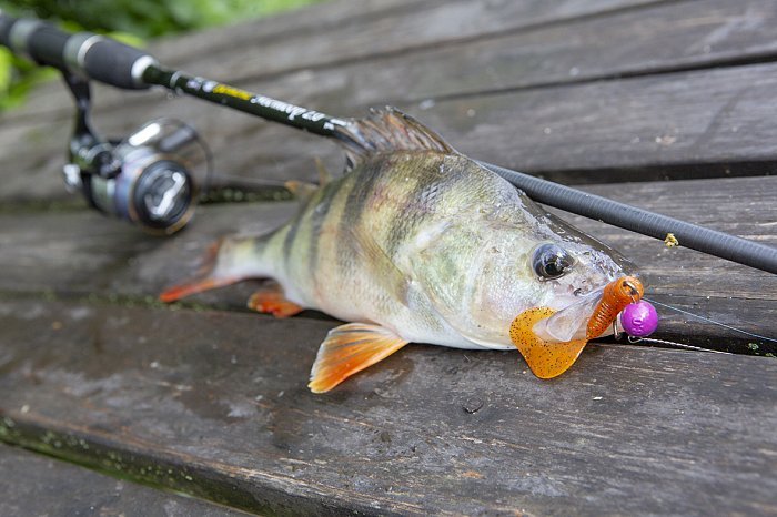 Силиконовая приманка "Volzhanka Tasty Grub 65" цвет 1009 (в упак. 8шт)