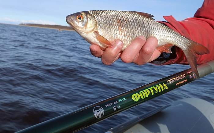 Удилище б/к "Волжанка Фортуна" 4,0м (4 секции) тест до 30гр (IM6)