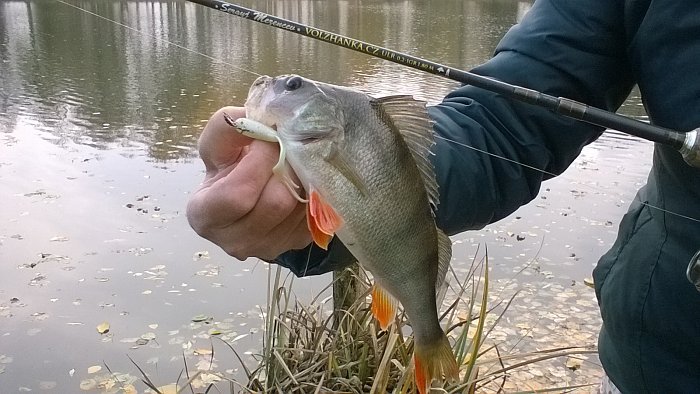 Спиннинг "Volzhanka S. Mezencev concept " тест  0.2-1гр 1.8м (5 секции) (IM7)