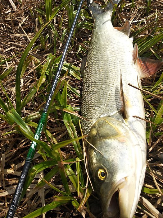 Спиннинг "Volzhanka Pro Sport Positive" тест 2-8гр 1.9м (2 секции)