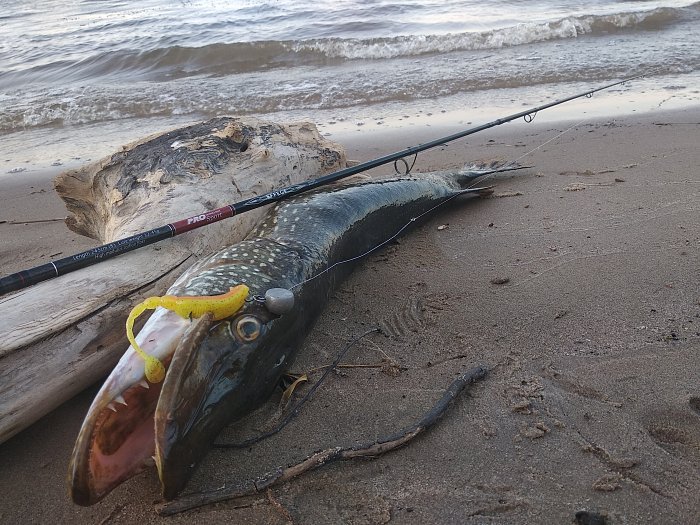 Спиннинг "Volzhanka Pro Sport Effect" тест  7-30гр  2.45м (2 секции)