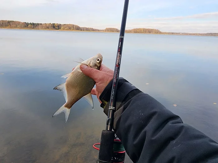 Удилище фидер "Volzhanka Pro Sport Extreme Feeder 12ft 60+" 3.6м (3 секции+3) тест 60+гр Удилище фидер "Volzhanka Pro Sport Extreme Feeder 12ft 60+" 3.6м (3 секции+3) тест 60+гр