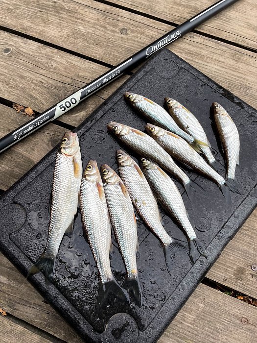 Удилище б/к "Волжанка Оптима" 7.0м (7 секций) тест до 25гр