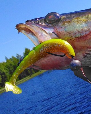 Каталог товаров Волжанка | VolzhankaFishing
