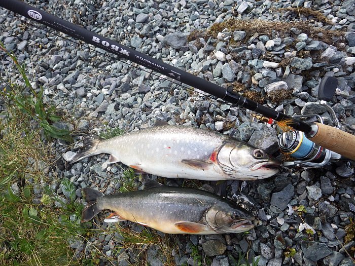 Спиннинг "Волжанка Вояж"  тест 10-40гр  2.4/2.7м (4+1 секции) (IM8) + жесткий тубус