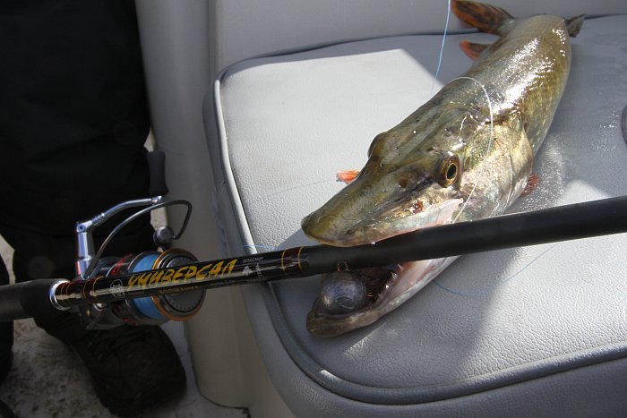 Спиннинг "Волжанка Универсал" тест 12-32гр 2.4м (2 секции) (IM6)