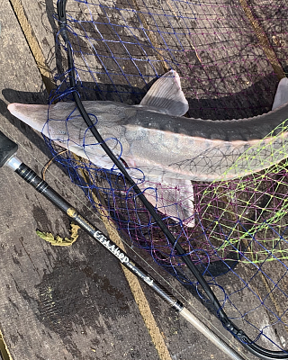 Запасные части к спиннингам