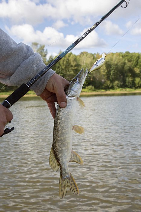 Спиннинг "Volzhanka Pro Sport Sensor" тест 12-48гр 2.45м (2 секции)