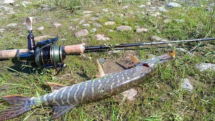 Спиннинг "Volzhanka S. Mezencev concept " тест  0.2-1гр 1.8м (5 секции) (IM7)