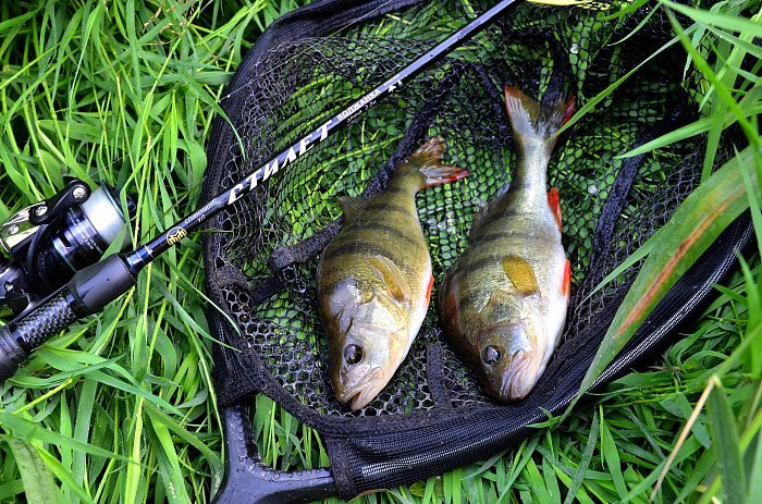 Спиннинг "Волжанка Стилет" тест 2-7гр 2.3м (2 секции) (IM7) Спиннинг "Волжанка Стилет" тест 2-7гр 2.3м (2 секции) (IM7)