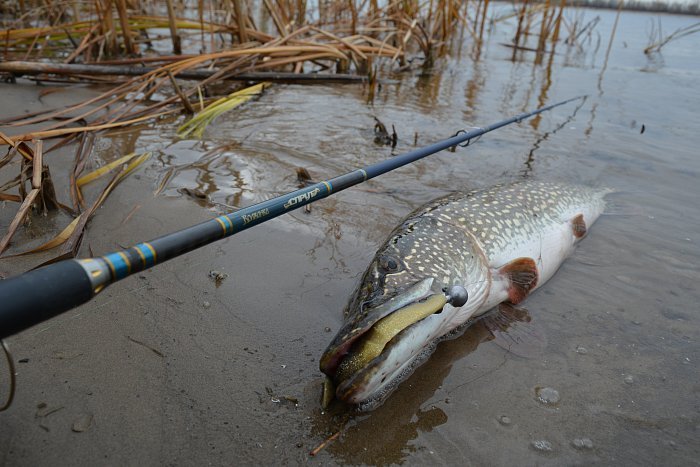 Спиннинг "Волжанка Спрут" тест 10-35гр 2.7м (2 секции)