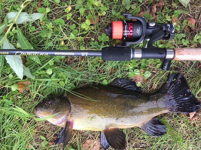 Удилище фидер "Волжанка Оптима" 3.3м (3 секции+3) тест 40гр+ (IM7)