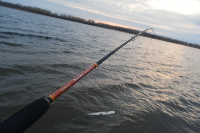 Спиннинг "Волжанка Рапира" тест  2-8гр 1.8м (2 секции)