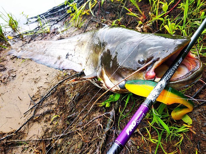 Спиннинг "Volzhanka Pro Sport Monster" тест 20-60гр 2.3м (2 секции)