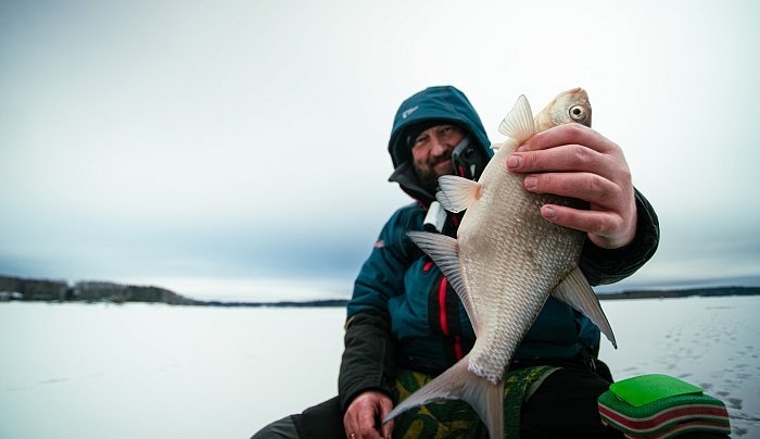 Лещ на чертика