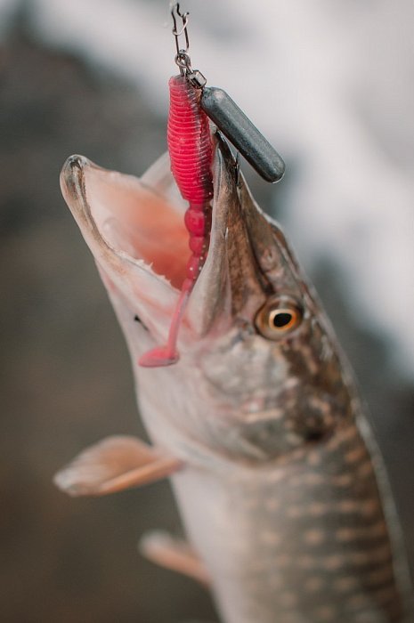 Силиконовая приманка "Volzhanka Sexy Bleak 90" цвет 2018 (в упак. 6шт)