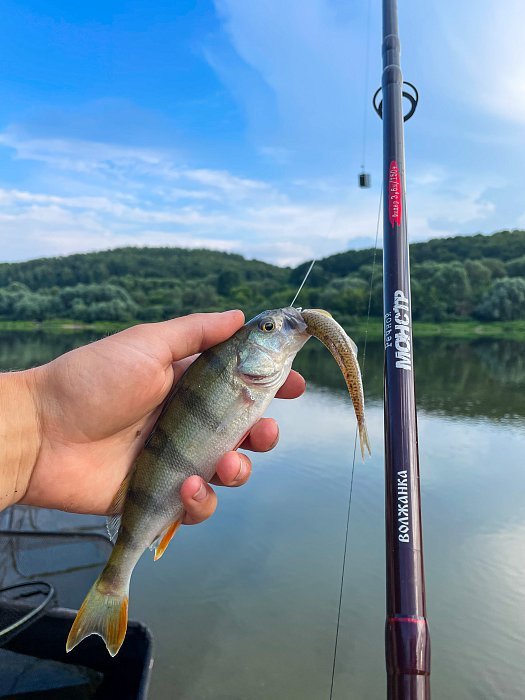 Удилище фидер "Волжанка Речной Монстр" 3.3м (3 секции+3) тест 150+гр