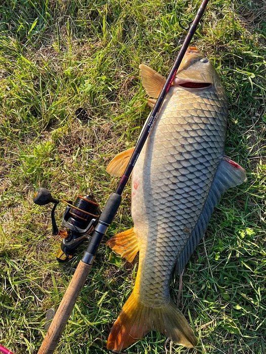 Катушка карповая Карп Мастер!